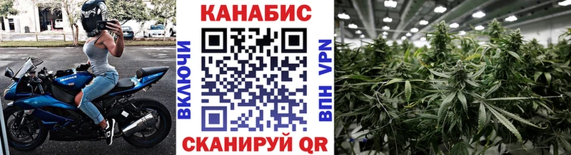 Канабис Amnesia  Купить закладки  Богучар 